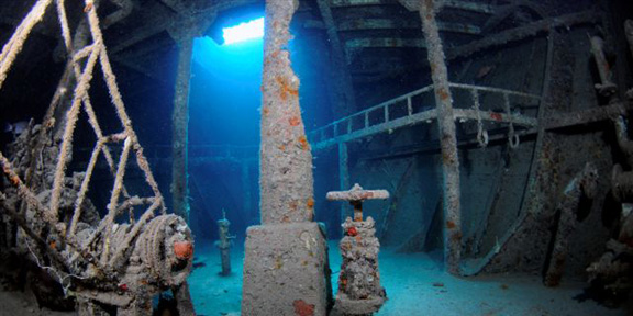 Dive With South Florida Diving Headquarters